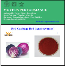Natural Plant Extract Water Soluble Red Cabbage Extract